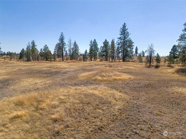 view of landscape featuring a rural view