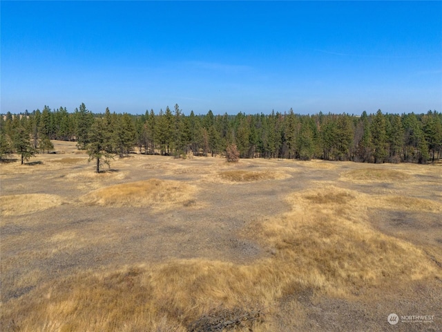 36377 S Bootstrap Ln, Cheney, WA 99004 - photo 7