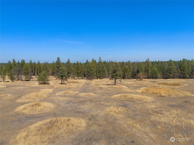 36377 S Bootstrap Ln, Cheney, WA 99004 - photo 8