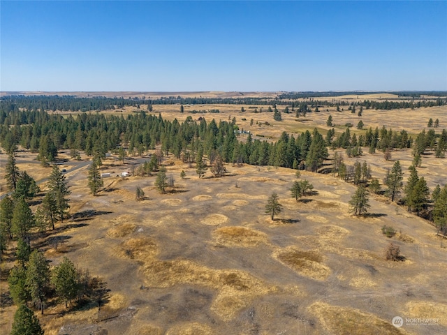 birds eye view of property featuring a rural view