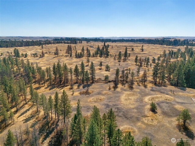 36377 S Bootstrap Ln, Cheney, WA 99004 - photo 12