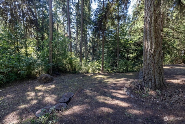 Listing photo 3 for 22037 N Clear Lake Blvd SE, Yelm WA 98597