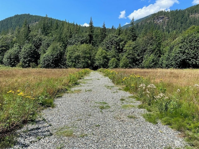 Listing photo 2 for 7530 Powerline Rd, Marblemount WA 98267