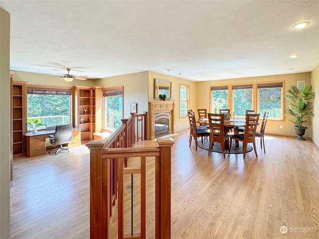 dining room featuring light wood-type flooring, a textured ceiling, and ceiling fan