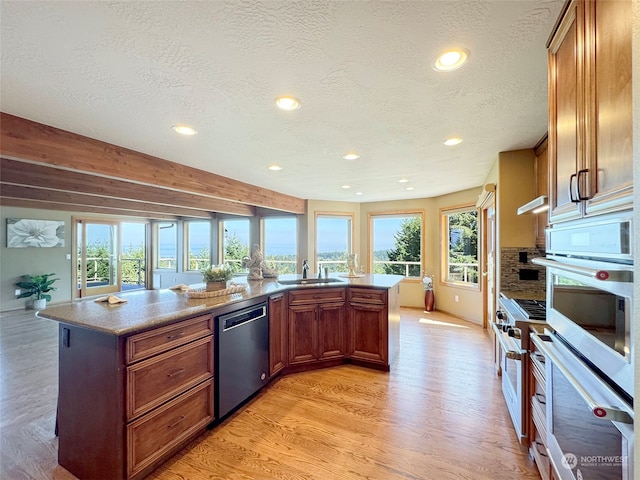 kitchen featuring light hardwood / wood-style floors, a wealth of natural light, sink, and stainless steel dishwasher