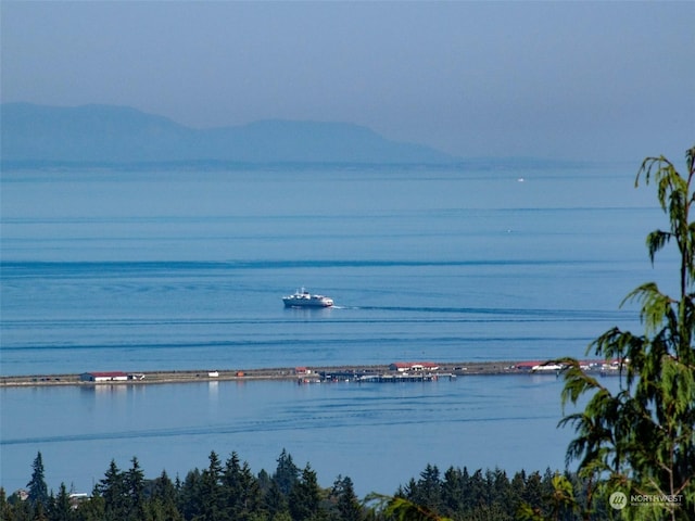 721 Sunset Heights Dr, Port Angeles, WA 98363 - photo 21