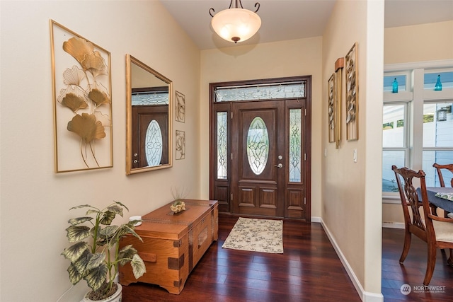 foyer entrance featuring a healthy amount of sunlight, baseboards, and dark wood finished floors