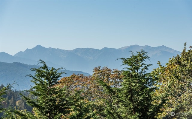 view of mountain feature with a wooded view