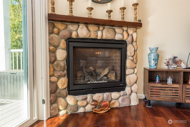 details featuring a fireplace and wood finished floors