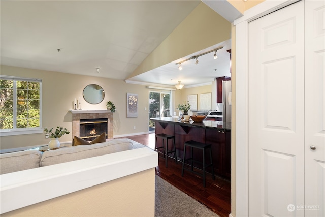 living room with lofted ceiling, a fireplace, and dark hardwood / wood-style floors