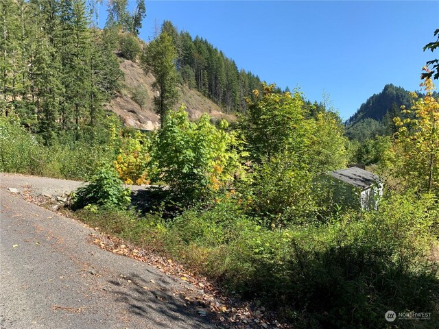 428 Savio Rd, White Pass, WA 98937