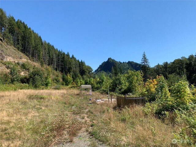 428 Savio Rd, White Pass, WA 98937