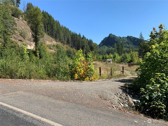 428 Savio Rd, White Pass, WA 98937