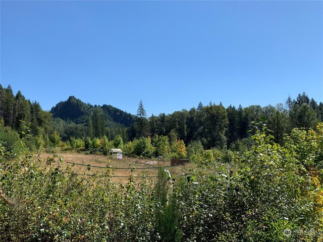428 Savio Rd, White Pass, WA 98937