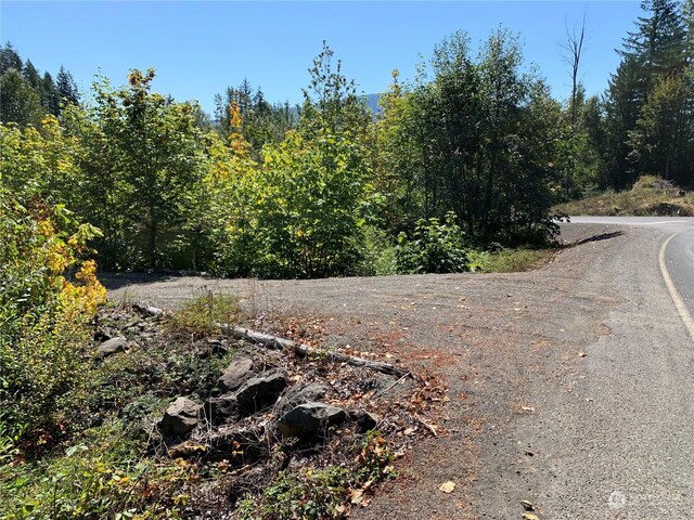 428 Savio Rd, White Pass, WA 98937