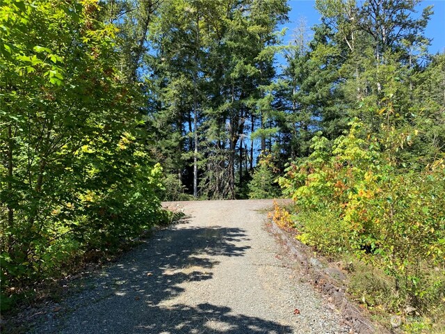 428 Savio Rd, White Pass, WA 98937
