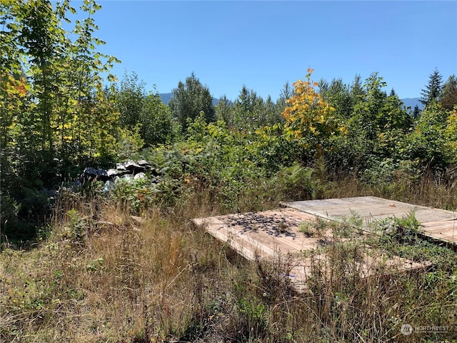 428 Savio Rd, White Pass, WA 98937