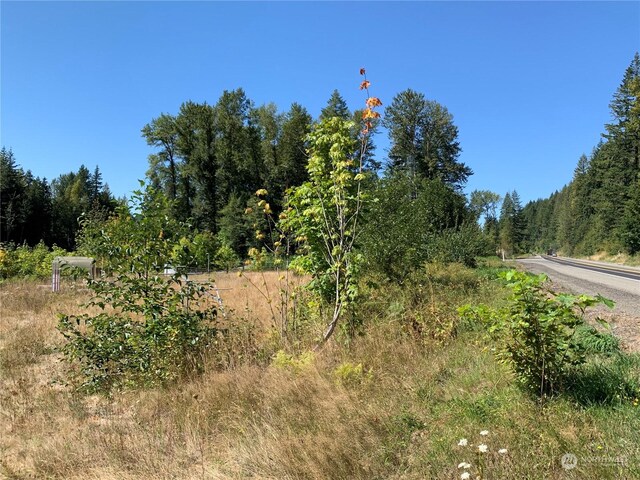 428 Savio Rd, White Pass, WA 98937
