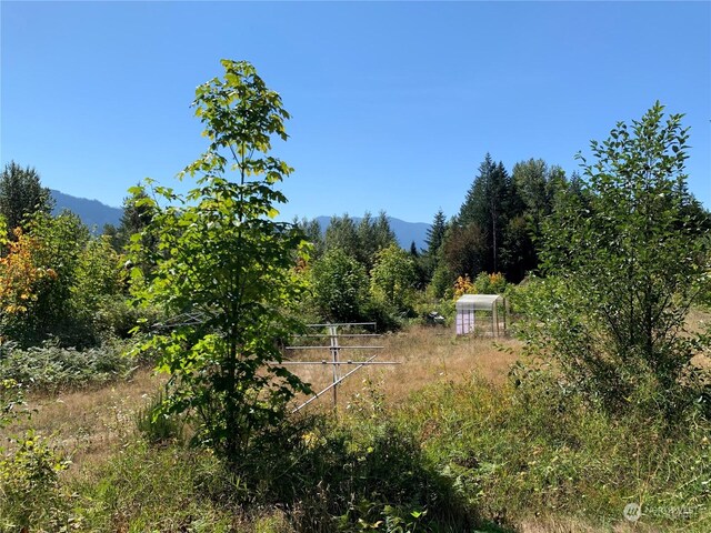 428 Savio Rd, White Pass, WA 98937