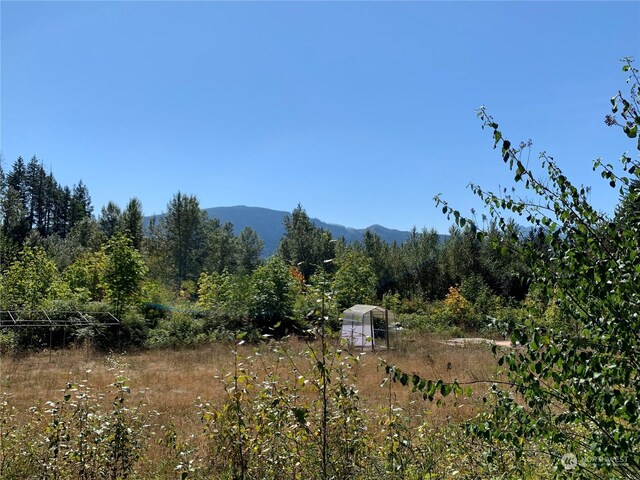 428 Savio Rd, White Pass, WA 98937