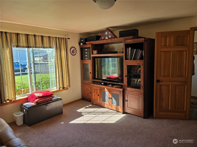 538 Canal Dr NE, Ocean Shores, WA 98569 - living room with carpet flooring