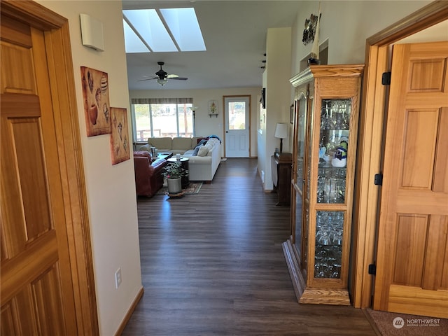 hall featuring a skylight and dark hardwood / wood-style flooring