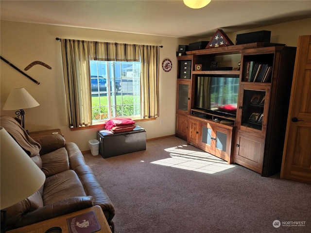538 Canal Dr NE, Ocean Shores, WA 98569 - living area featuring light colored carpet