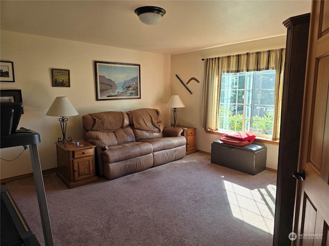538 Canal Dr NE, Ocean Shores, WA 98569 - living area featuring light carpet and baseboards