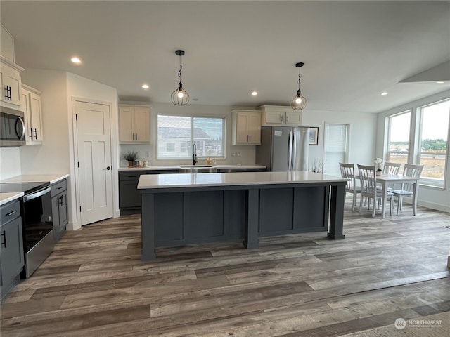 kitchen with a healthy amount of sunlight, stainless steel appliances, sink, and dark hardwood / wood-style floors