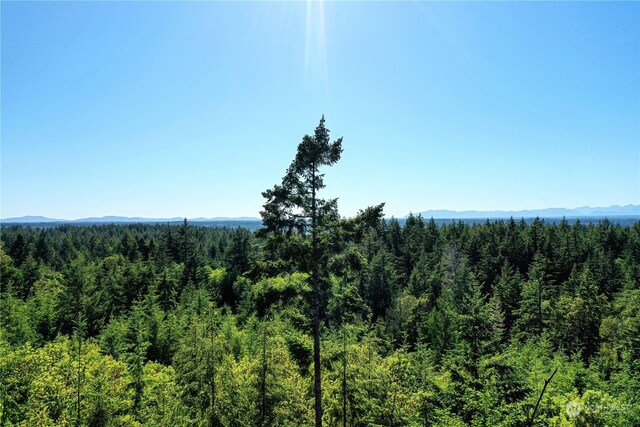 1415 208th Ave SW, Lakebay, WA 98349 - photo 1