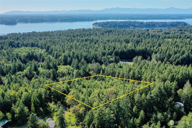 1415 208th Ave SW, Lakebay, WA 98349 - photo 24