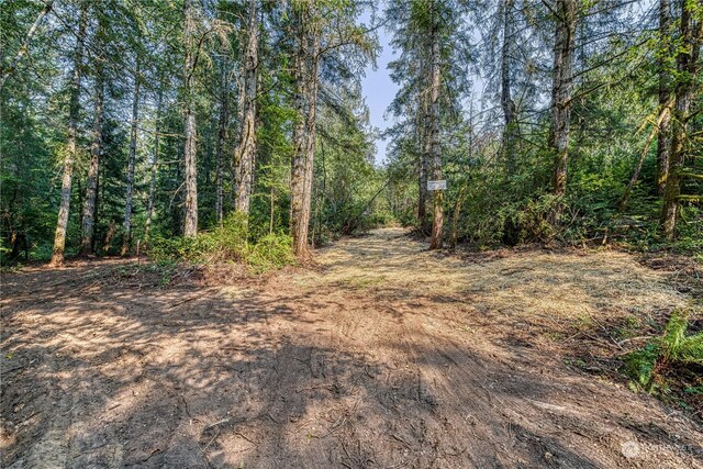 1415 208th Ave SW, Lakebay, WA 98349 - photo 7