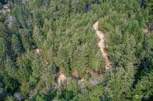 1415 208th Ave SW, Lakebay, WA 98349 - photo 12