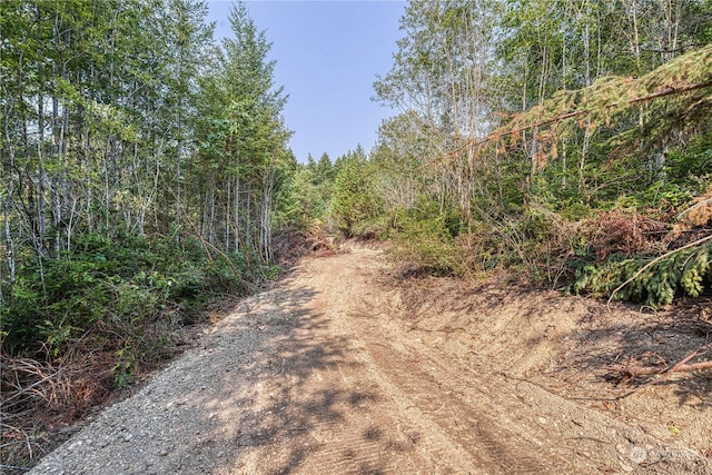 1415 208th Ave SW, Lakebay, WA 98349 - photo 16
