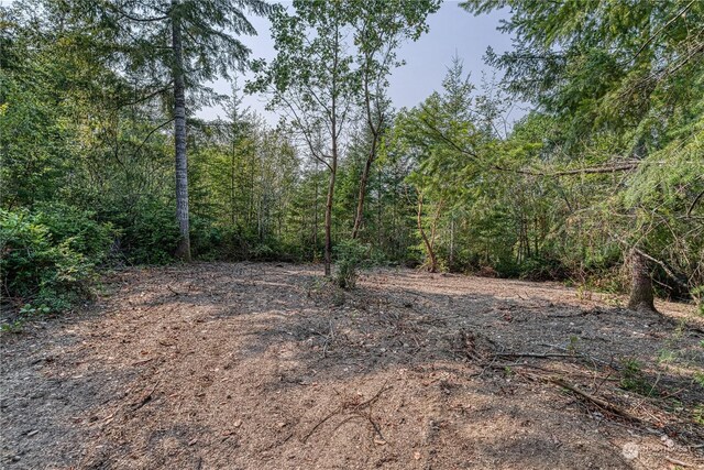 1415 208th Ave SW, Lakebay, WA 98349 - photo 21