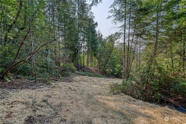 1415 208th Ave SW, Lakebay, WA 98349 - photo 22