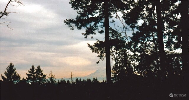1415 208th Ave SW, Lakebay, WA 98349 - photo 3