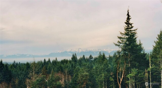 1415 208th Ave SW, Lakebay, WA 98349 - photo 4