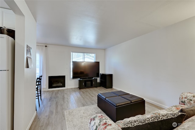 living room featuring light hardwood / wood-style floors