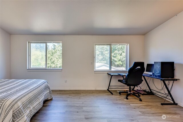 bedroom with hardwood / wood-style floors