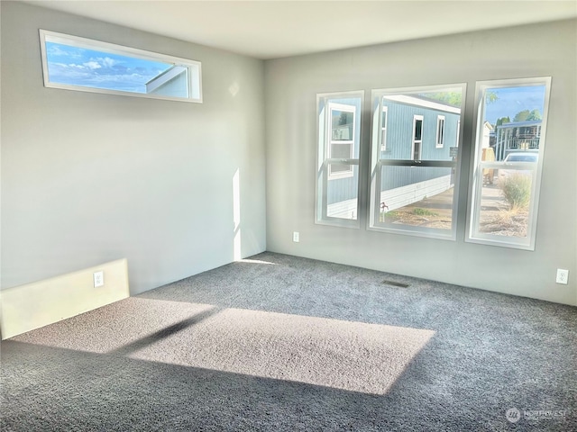 unfurnished room with a skylight, carpet flooring, and a wealth of natural light