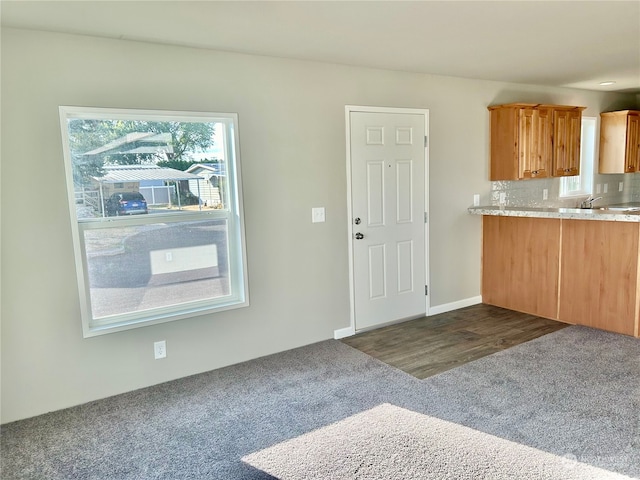 kitchen with backsplash and dark hardwood / wood-style flooring