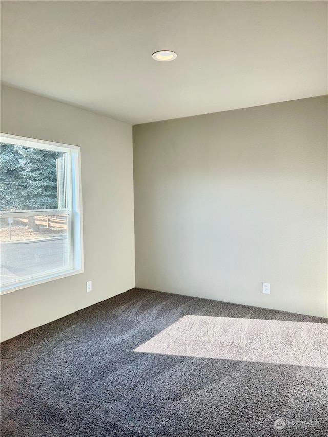 unfurnished room with carpet