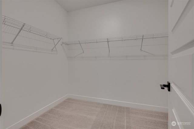 walk in closet with light colored carpet