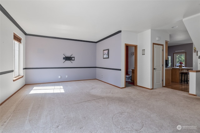 carpeted spare room featuring crown molding and a wealth of natural light