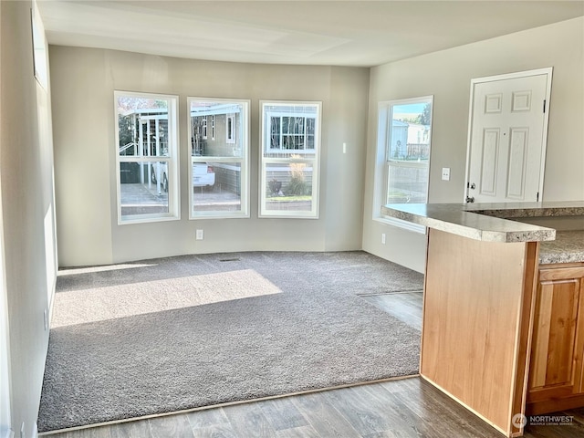 interior space featuring hardwood / wood-style flooring