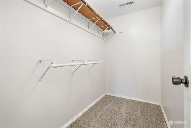 spacious closet featuring carpet flooring