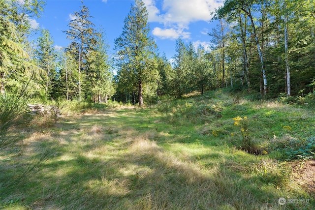 1 Lake Umek Rd, Ravensdale WA, 98051 land for sale