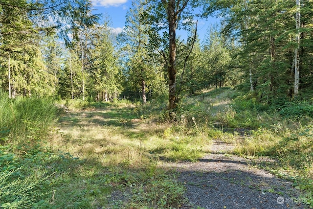 Listing photo 2 for 1 Lake Umek Rd, Ravensdale WA 98051