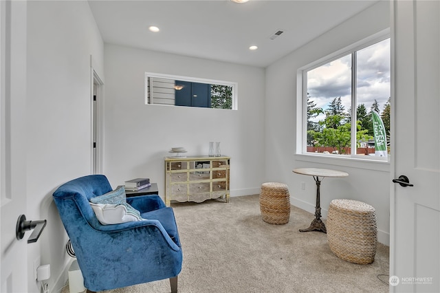 sitting room with carpet